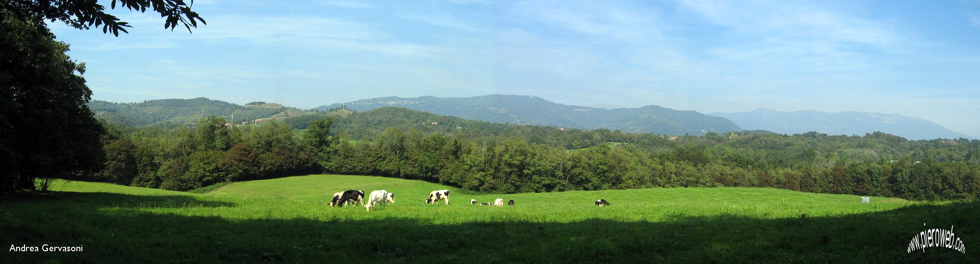 15 Parco di Montevecchia e Valle del Curone.jpg